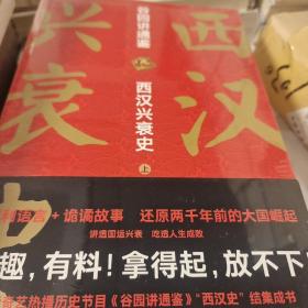 西汉兴衰史 全二册 谷园进通鉴 谷园著 天地出版社 正版书籍（全新塑封）