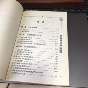 风湿病诊断 防治类风湿关节炎.湿热.干燥综合症、硬皮病、多发性.混合性结缔组织病.系统性血管炎.血清阴性脊椎关节病，痛风，风湿.偏方，食疗.验方.处方中西医结合e1447 秘方.老中医.中草药