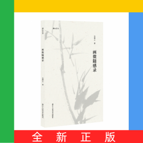 畫(huà)微隨感錄/湖山藝叢