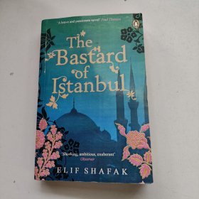 the bastard of istanbul