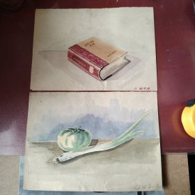 61年手绘（书和蔬菜）两张宽26.6厘米高19厘米