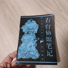 清代笔记小说丛刊《右台仙馆笔记》 难得品相