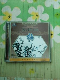 国画名家教国画 写意花鸟画 怎样画梅 1VCD