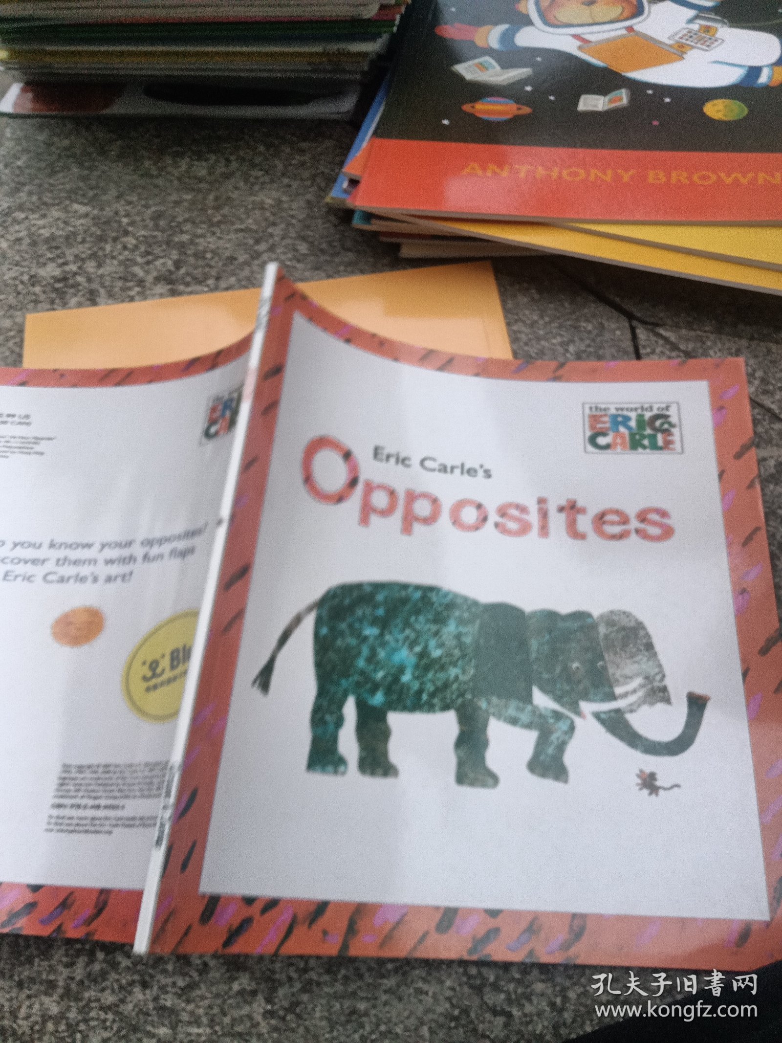 Eric Carle's Opposites 艾瑞·卡尔的不一般