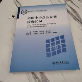 中国中小企业发展报告2014