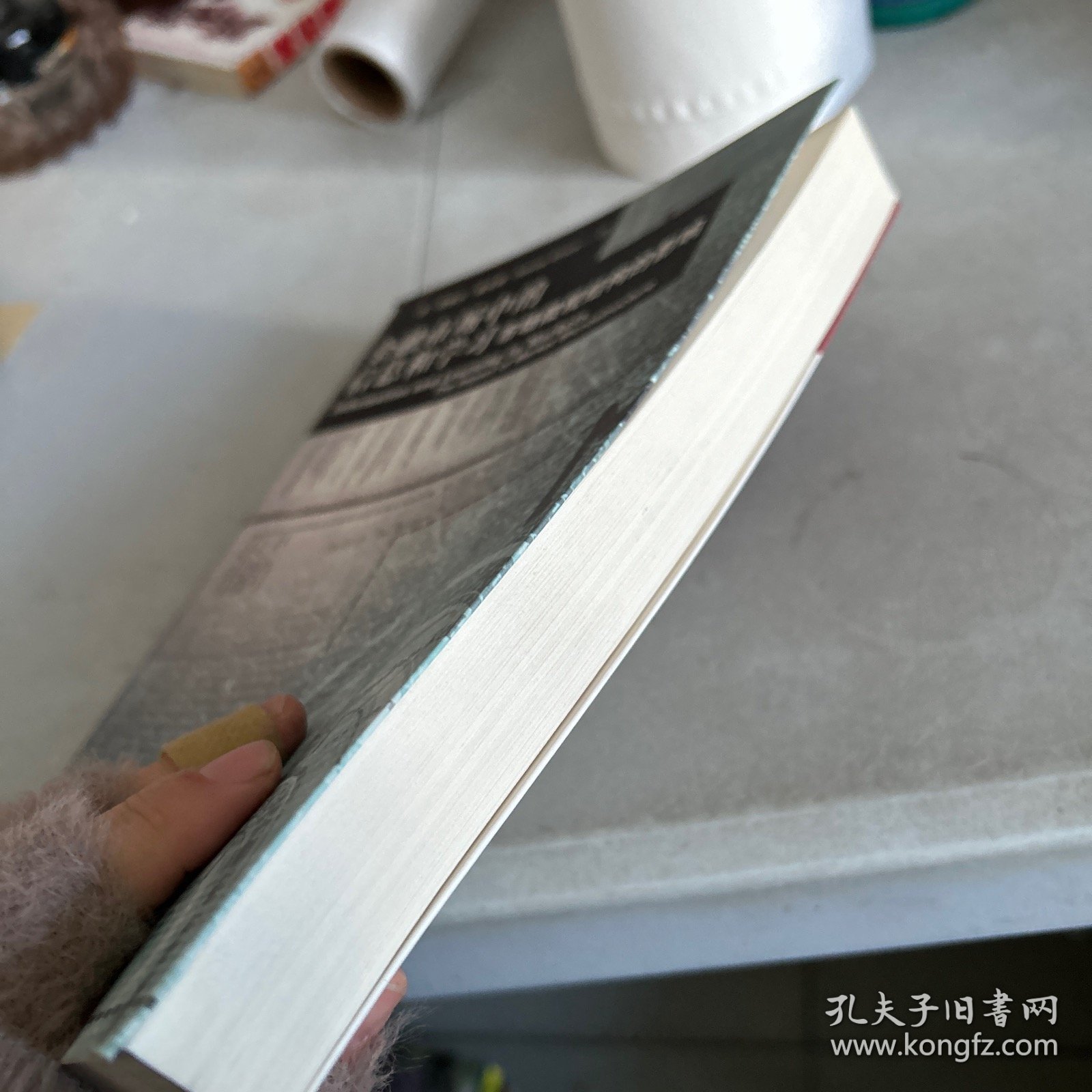 金融市场中的信息和学习：市场微观结构的影响