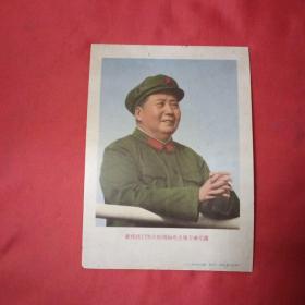 敬祝我们伟大的领袖毛主席万寿无疆（胶木画）