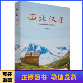 西北汉子:电视剧连续剧文学剧本