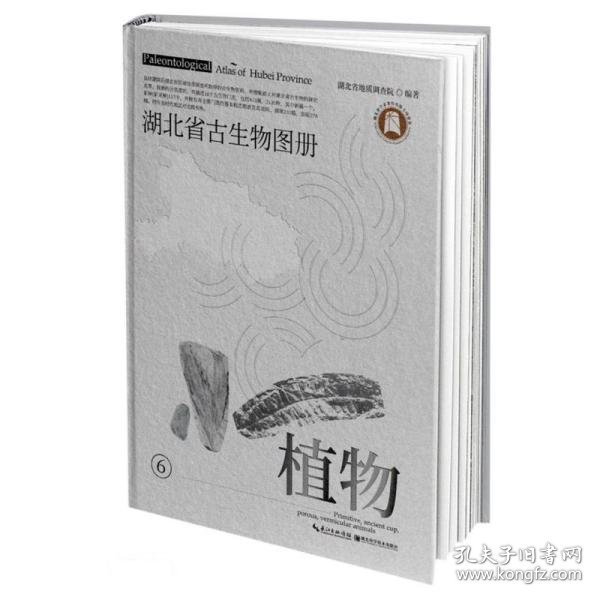 湖北省古生物图册(6植物)(精)