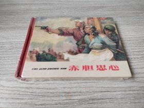 【全新正版】辽美小精 赤胆忠心（C）