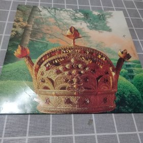 王者之风 (21) 国语金曲卡拉0K 白胶唱片