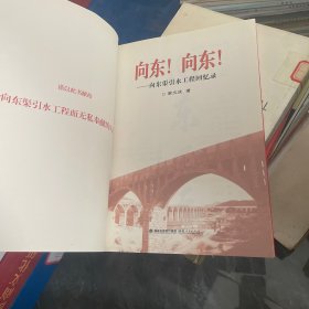 向东!向东! : 向东渠引水工程回忆录