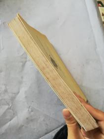 末代皇帝最后一次婚姻解密