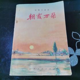 短篇小说选 朝霞万朵