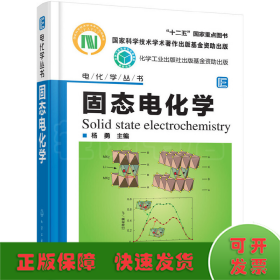 电化学丛书--固态电化学