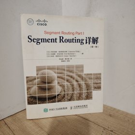 Segment Routing 详解 第一卷