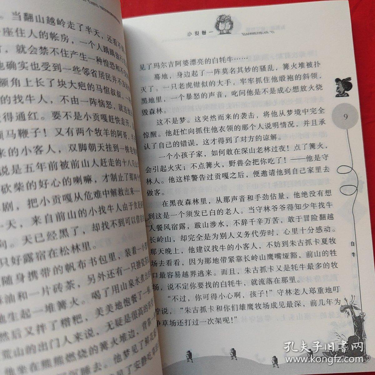 赵燕翼儿童文学集：天山少年传奇