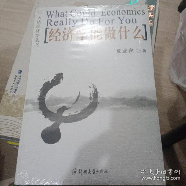 经济学能做什么