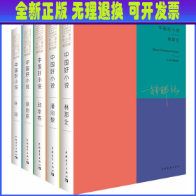 中国好小说（第四季）（套装共5册）