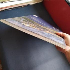 当代中国油画家张京生油画近作两本合售（一版一印）