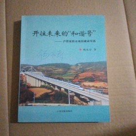 开往未来的“和谐号”——泸昆高铁云南段建设写真