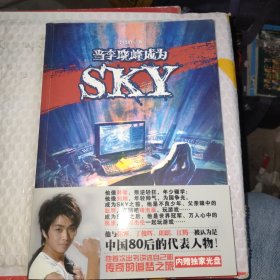 当李晓峰成为SKY