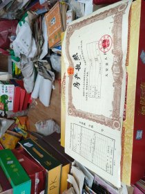 八十年代房产执照 空白带存根