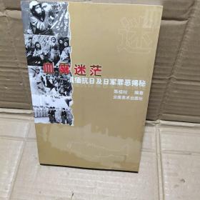 血雾迷茫 ：滇缅抗日及日军罪恶揭秘