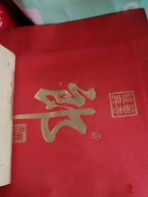 中医儿科学讲义