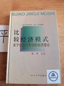 比较经济模式：关于计划与市场的经济理论