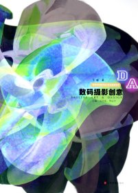 数码摄影创意/高等学校数字设计艺术教材系列