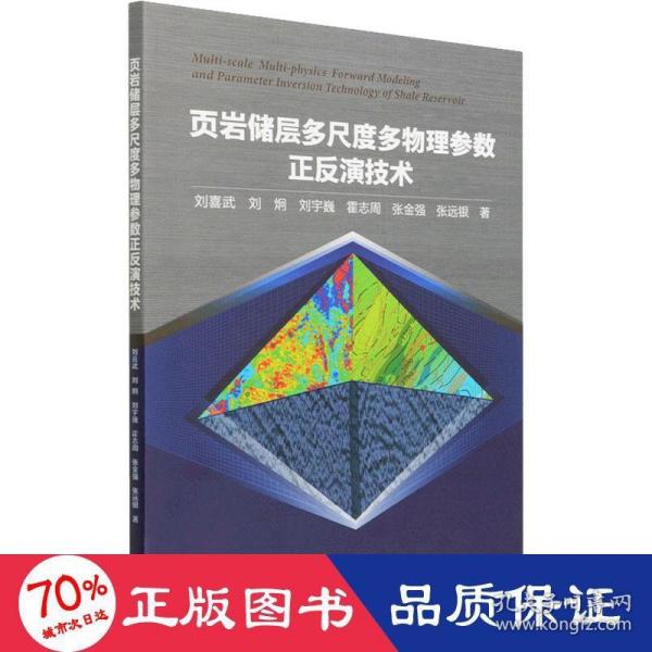 页岩储层多尺度多物理参数正反演技术