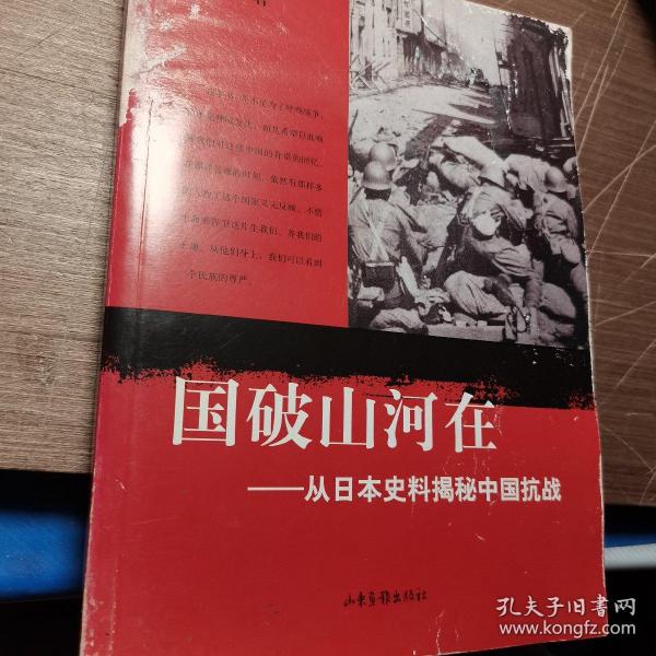 国破山河在：从日本史料揭秘中国抗战