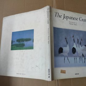 THE JAPANESE CRANE 丹顶鹤-日文