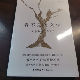 看不见的文学(文学如何理论)