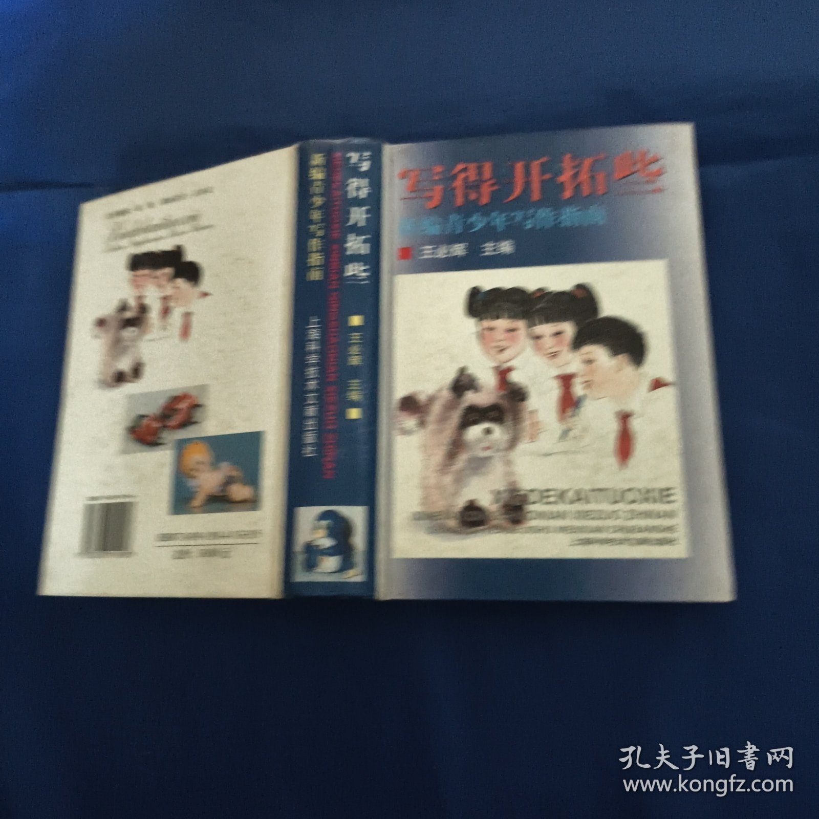 写的开拓些新编青少年写作指南