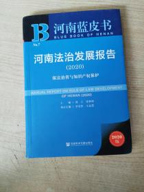河南蓝皮书：河南法治发展报告（2020）