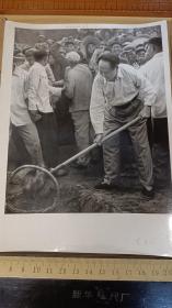 【旧时光影】毛主席参加义务劳动，1958年拍摄 。1976年9月10日， 毛主席逝世第二天，新华社快速发布的原版照片 ，长20cm，宽15cm 。收藏真品，售出概不退换。