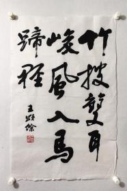 王颂余作品