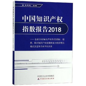 (2018)中国知识产权指数报告