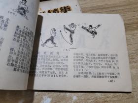 少林寺武功醉拳第1，2集 少林罗汉十八手全套路醉拳 少林拳图解 少林寺技击精华 罗汉神打  五本合售