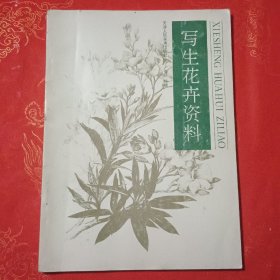 写生花卉资料