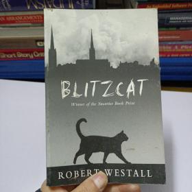 Blitzcat——b2
