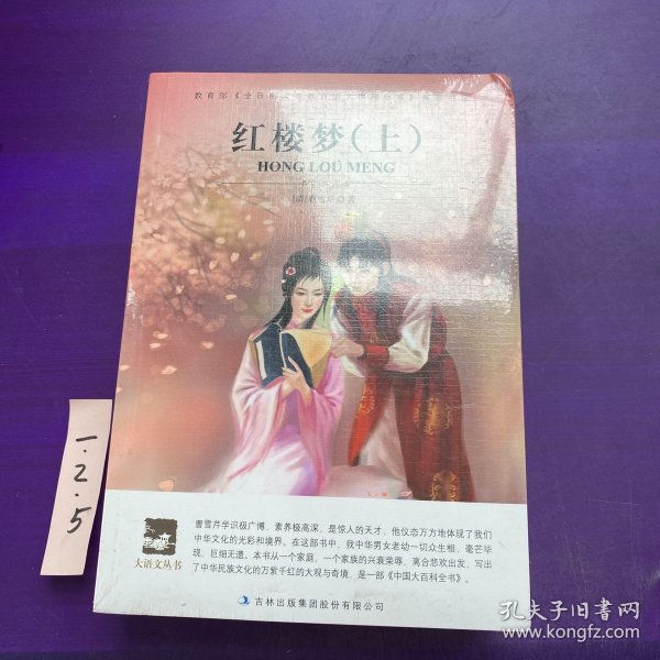 名师审定版 大语文 红楼梦(上下）