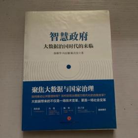 智慧政府：大数据治国时代的来临 未拆封