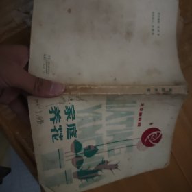 家庭养花