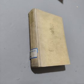 赤龙与丹凤