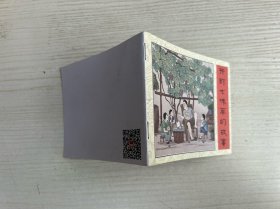 开封七味草的故事