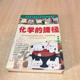 化学的捷径：开创学习化学的新纪元