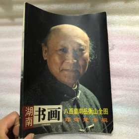 湖南书画2008年增刊 八百里南岳衡山全图 邓辉楚专辑